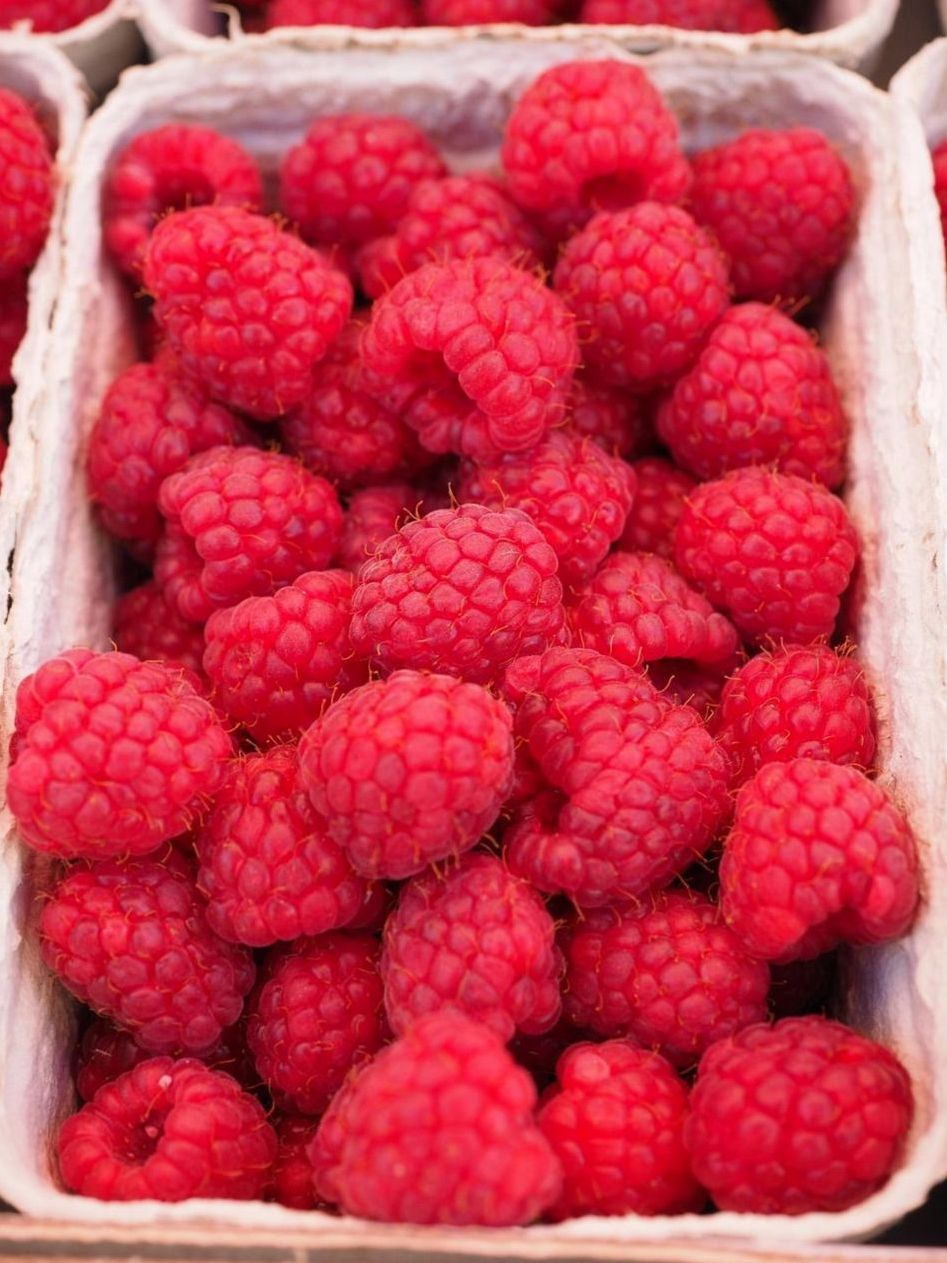 Watermelon, citrus, and healthy snacks that fit your week.