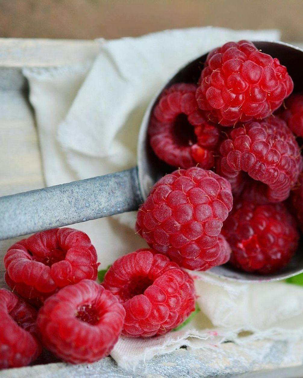 Fresh berries packed this morning